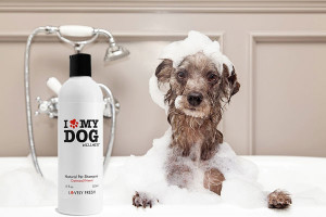 Top 10 selected Dog Shampoos