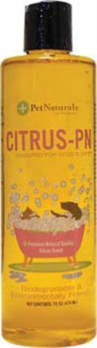 Citrus-PN Citrus-scented shampoo