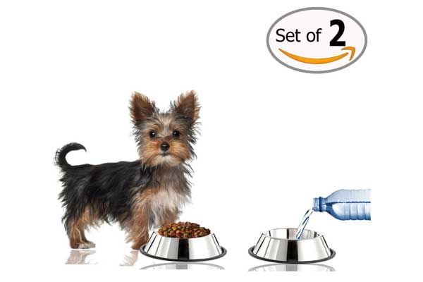 GPET Dog Bowl, 16 Ounce (Set of 2)