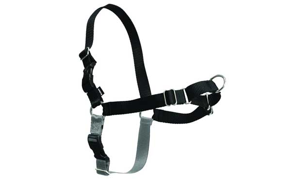 PetSafe Petite Easy-Walk Harness