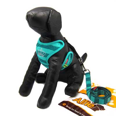 Alfie Step-in Leash Set