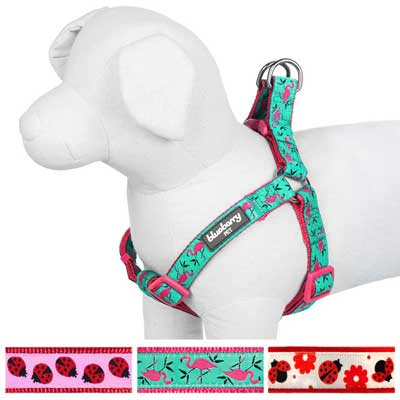 Blueberry Pet Step-in Adjustable Dog Harness