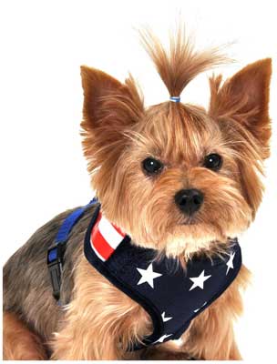 Anit Accessories America Flag Mesh Harness