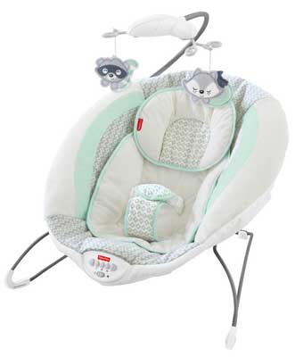 Fisher-Price Moonlight Meadow Deluxe Bouncer