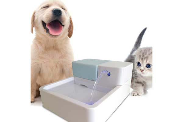 Uniclife Electric Drinking Bowl