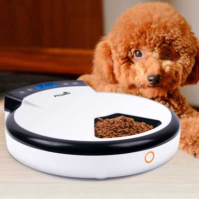 GemPet Petwant Automatic Pet Feeder