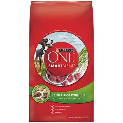 Purina ONE SmartBlend Dry Dog