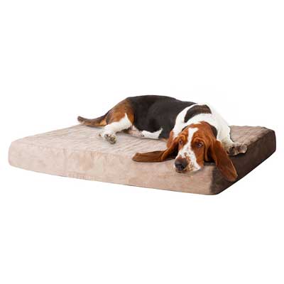 PAW Memory Foam Dog Bed with Removable Cover
