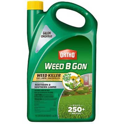 Ortho Weed B Gon Weed Killer for Lawns Concentrate