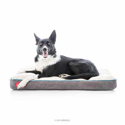 BRINDLE Soft Memory Foam Dog Bed with Removable Washable Cover