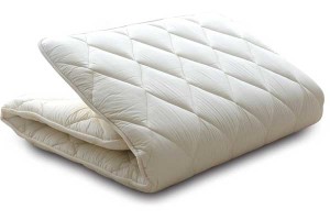 Best Futon Mattresses Reviews