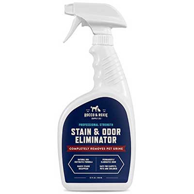 Professional Strength Stain & Odor Eliminator