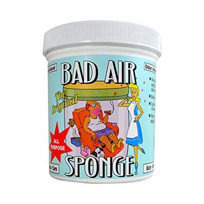 Bad Air Sponge Air Odor Absorbent