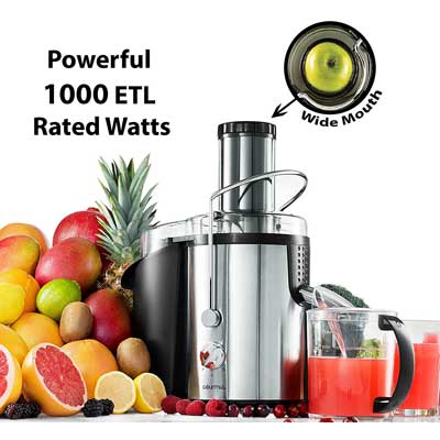 Gourmia GJ1250 Stainless Steel Wide Mouth Juice Extractor & Maker