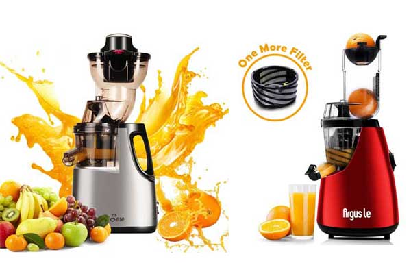 Top 10 Best Juicers In 2021 Reviews