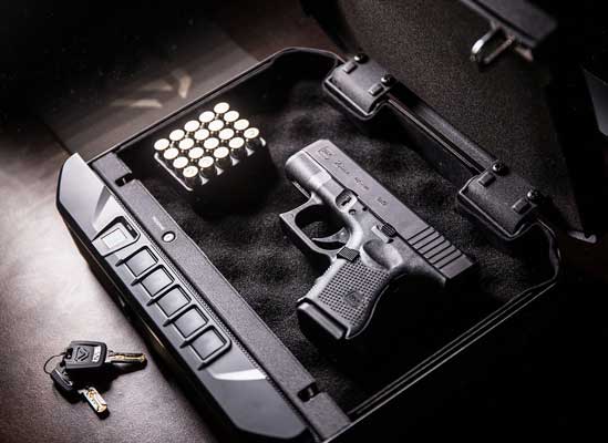 VAULTEK VT20i Biometric Handgun Safe Smart Pistol Safe