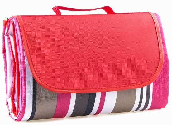 Family Picnic Blanket with Tote