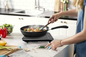best portable induction cooktop reviews
