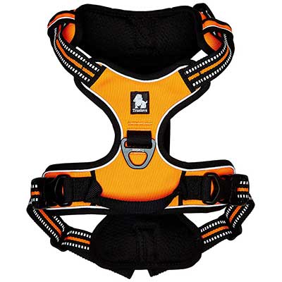 Chai's (Best Outdoor) Dog Harness