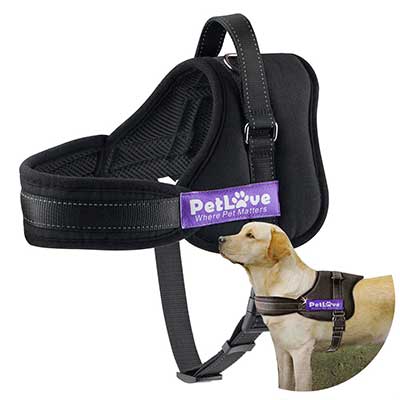 PetLove Dog Harness