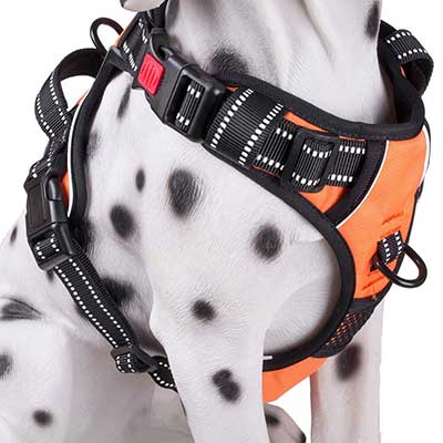 PoyPet Dog Harness