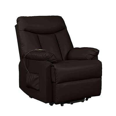 Domesis Renu Leather Wall Hugger Power Lift Chair