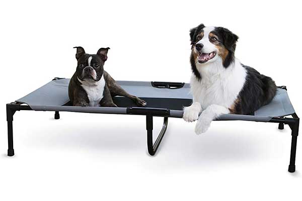 Top 10 Best Elevated Dog Beds in 2021 Reviews