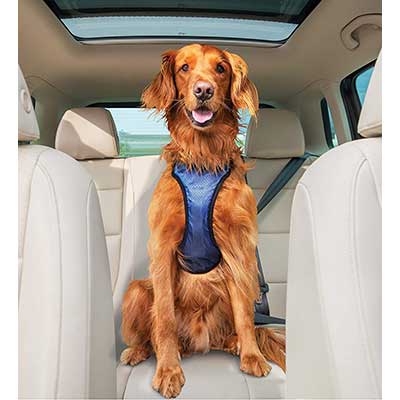 PetSafe Happy Ride Deluxe Car Harness for Dogs