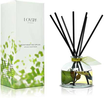 LOVSPA Eucalyptus Essential Oil Reed Diffuser Gift Set