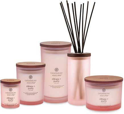 Chesapeake Bay Candle Reed Diffuser, Stillness + Purity