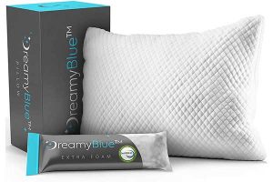 Best Memory Foam Pillows Reviews
