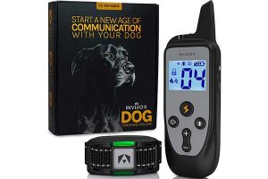 Best Shock Collar for Large Dogs Review